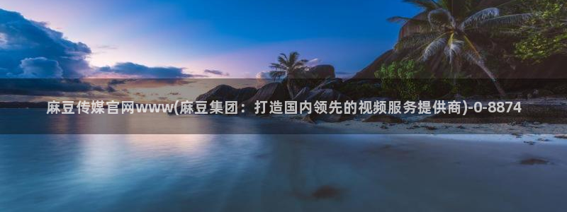 官网麻豆传媒