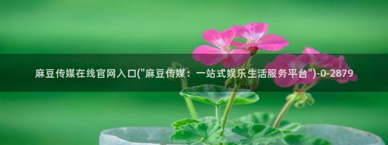 麻豆传媒官网映画：麻豆传媒在线官网入口(\