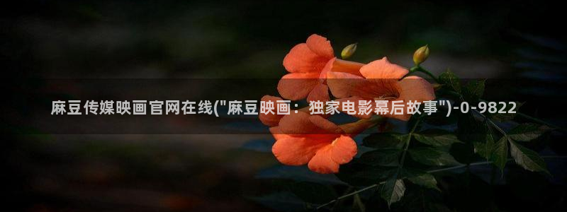 麻豆传媒官网打不开：麻豆传媒映画官网在线(\