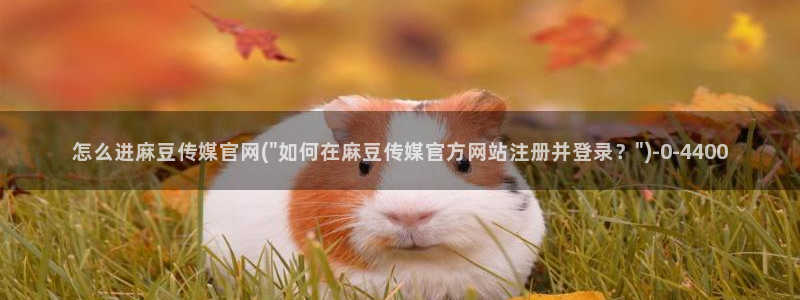 麻豆视传媒官网星辰：怎么进麻豆传媒官网(\