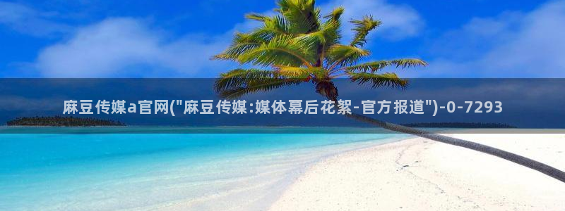 91麻豆传媒官网是：麻豆传媒a官网(\