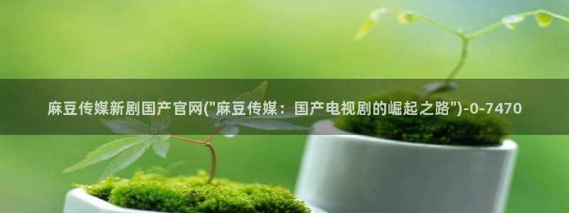 武汉麻豆传媒官网