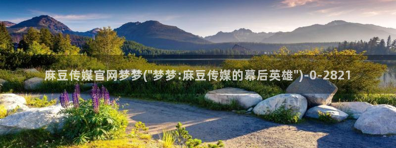 麻豆日记传媒官网