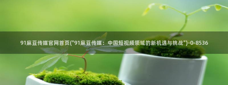 麻豆传媒直播官网污