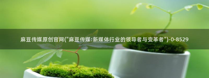 麻豆视传媒官网星辰