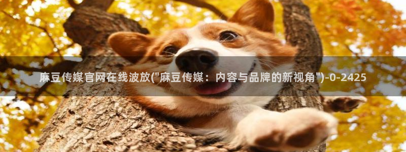 麻豆国产传媒官网：麻豆传媒官网在线波放(\