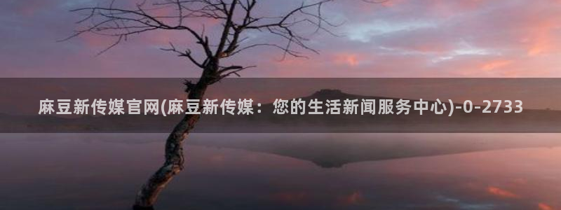 麻豆映画传媒视频官网
