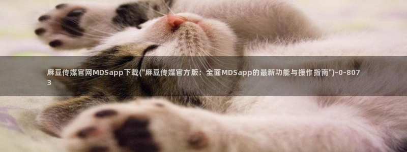 麻豆传媒官网赵佳美