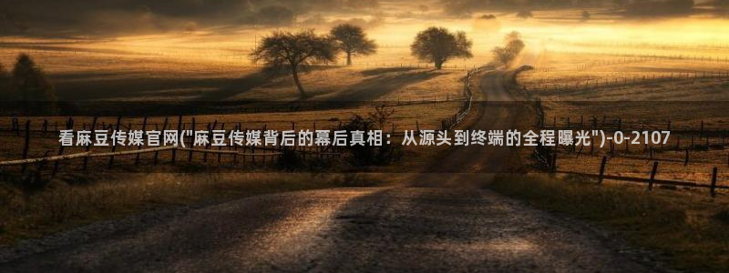麻豆影视传媒官方官网