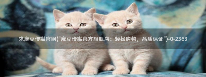 麻豆传媒影视官网地址：求麻豆传媒官网(\