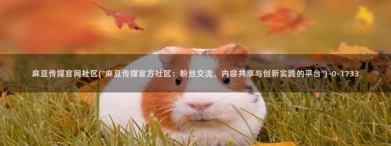 麻豆传媒视频在线官网：麻豆传媒官网社区(\