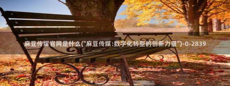 麻豆音画传媒官网