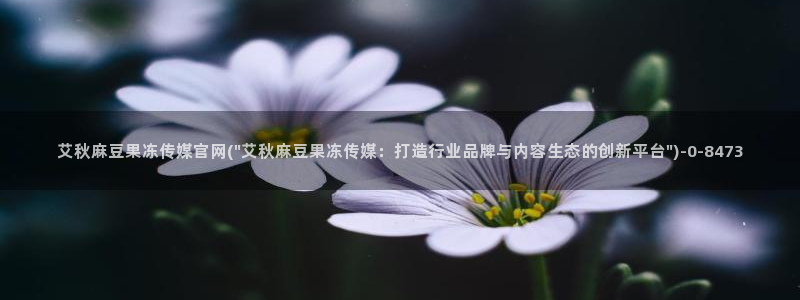 麻豆音画传媒官网