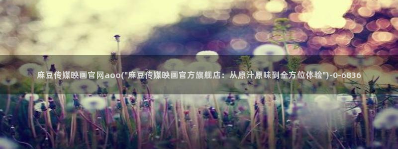 麻豆传媒官网地址破解
