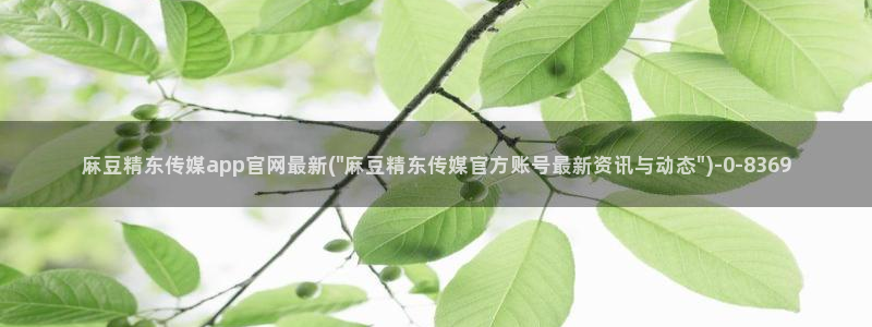 麻豆视传媒app官网：麻豆精东传媒app官网最新(\