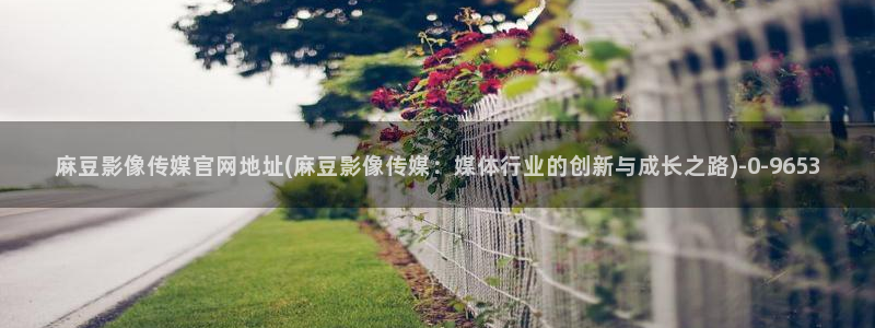 麻豆视传媒官网星辰：麻豆影像传媒官网地址(麻豆影像传媒：媒体行业的创新与成长之路)