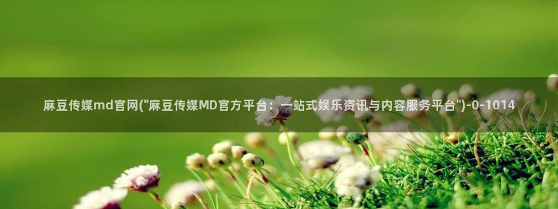 麻豆传媒官网a